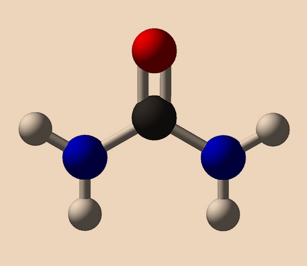 carbohydrates